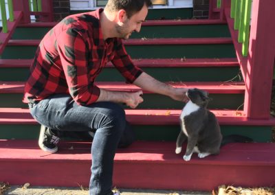 Documenting the Cats of Madison
